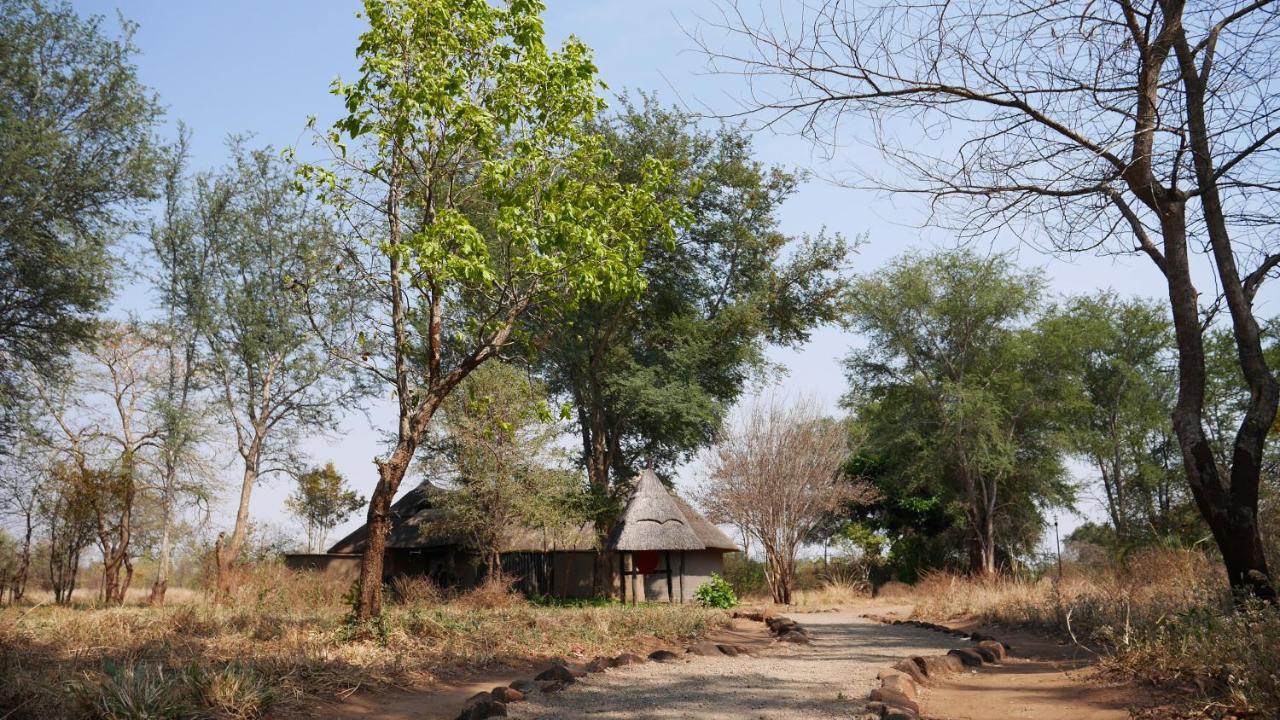 ליבינגסטון Munga Eco-Lodge מראה חיצוני תמונה