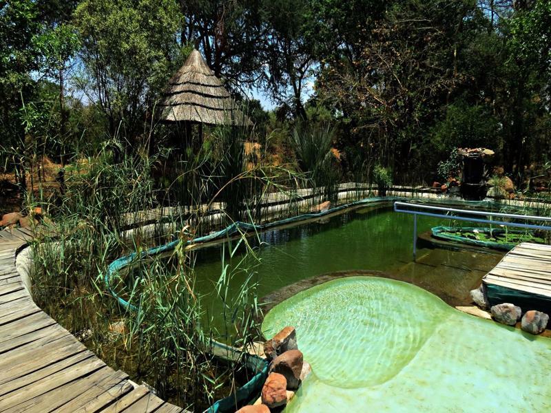 ליבינגסטון Munga Eco-Lodge מראה חיצוני תמונה