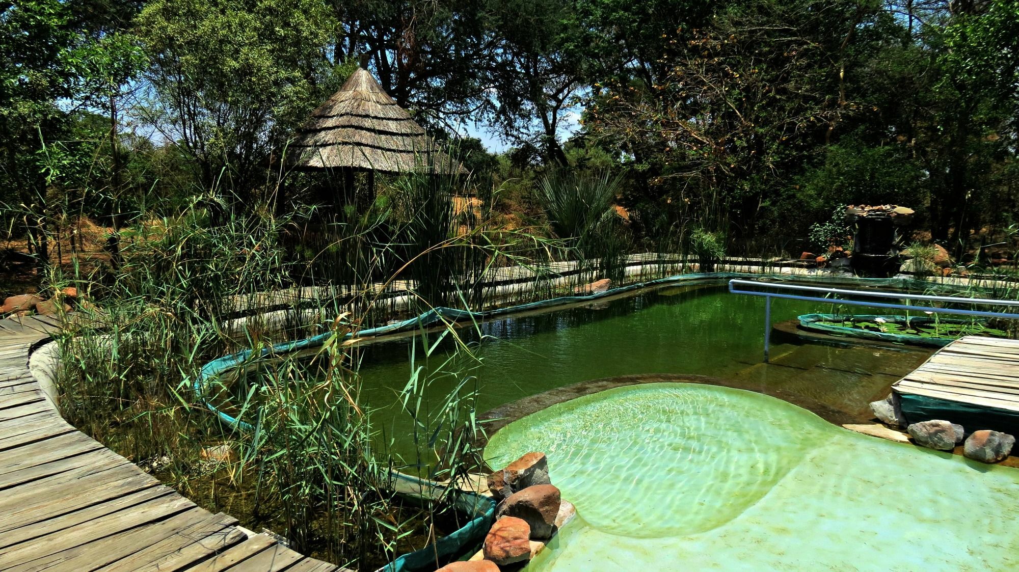 ליבינגסטון Munga Eco-Lodge מראה חיצוני תמונה